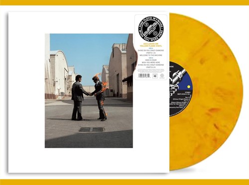 Pink floyd wish - you, were